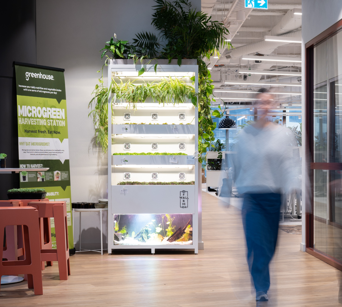 Farmwall growing installation in a workplace hallway — the supplied photograph